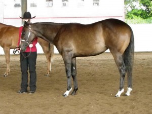 All Blues In Fashion