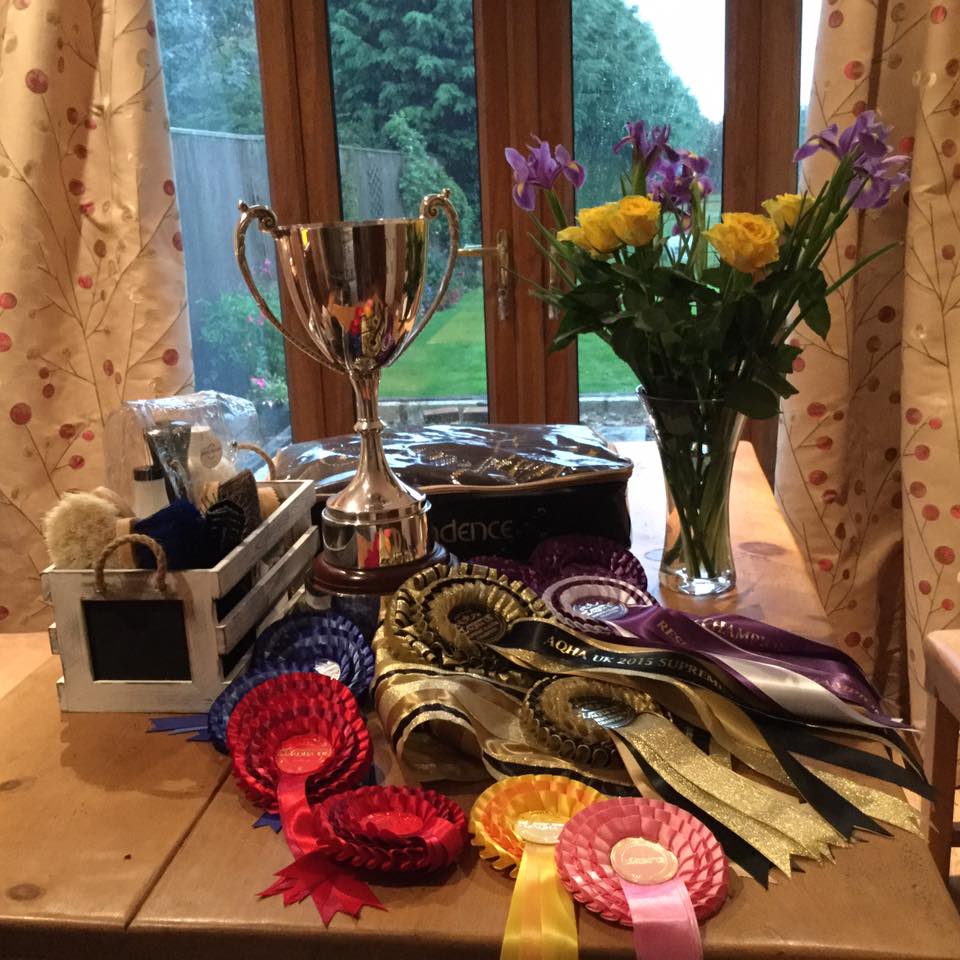 Thank you to the Macintyre Family, very privileged to have this beautiful Mandy Macintyre Memorial cup for 4yrs running.